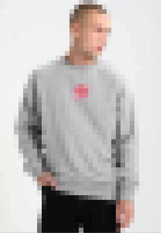 College Crewneck JSD26